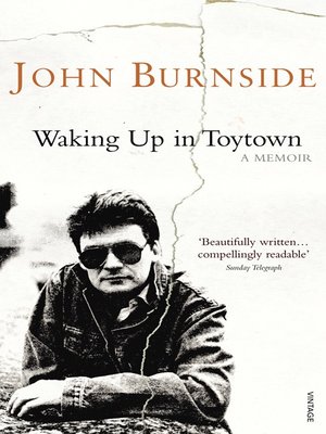 cover image of Waking Up in Toytown